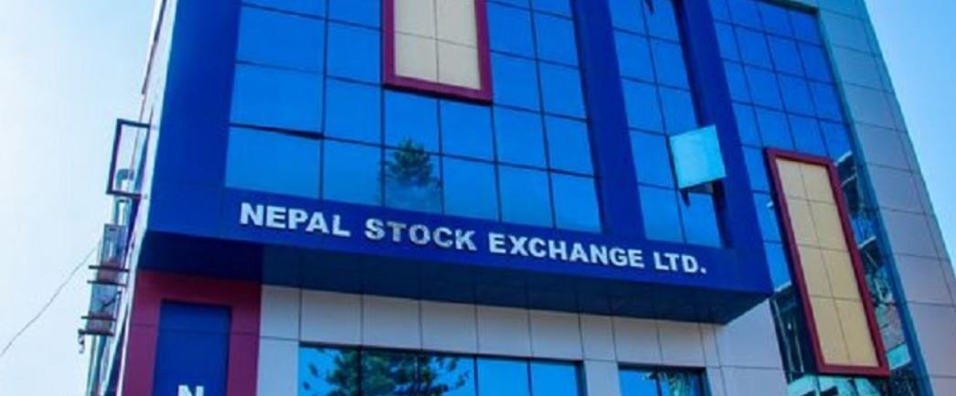 नेप्सेमा एकल अंकले वृद्धि