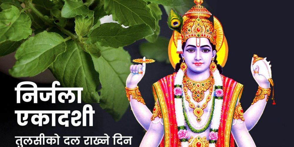 आज निर्जला एकादशी: घर घरमा तुलसीको दल राखिँदै