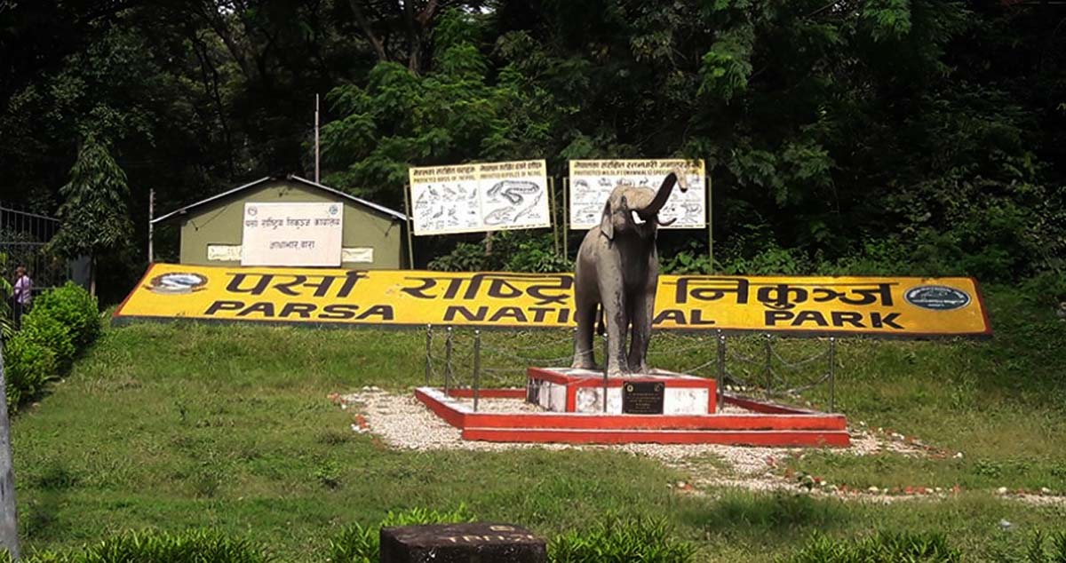 सकियो गैँडा गणना : भोलि नतिजा सार्वजनिक गर्ने 
