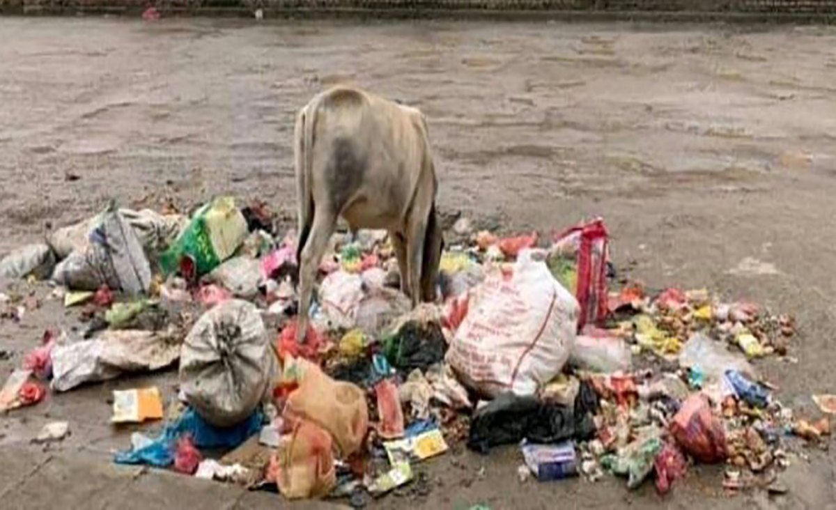 एक हप्तादेखि बुटवलमा उठेन फोहोर