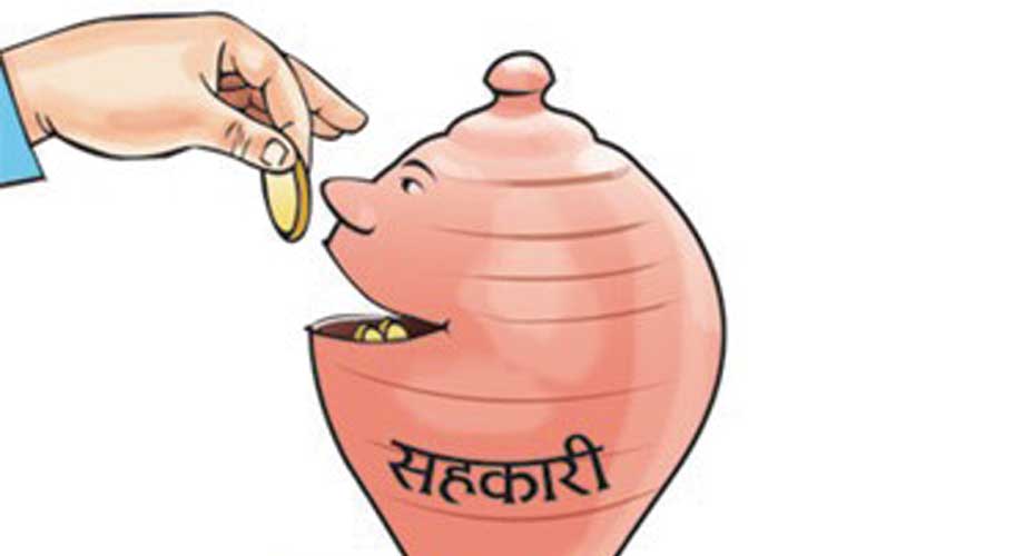 चैत मसान्तभित्र बचत फिर्ताको कार्ययोजना पेस गर्न सहकारीलाई  निर्देशन