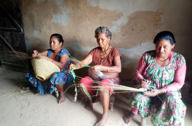 यी थारु महिलालाई लकडाउनकाे छैन प्रवाह, भन्छन् 'काममा नगई कसरी चल्छ घर ?'