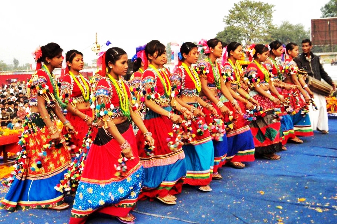 थारू बस्तीमा  दसैँको रौनक