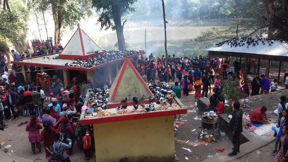 सत्यवती मन्दिरमा भक्तजन