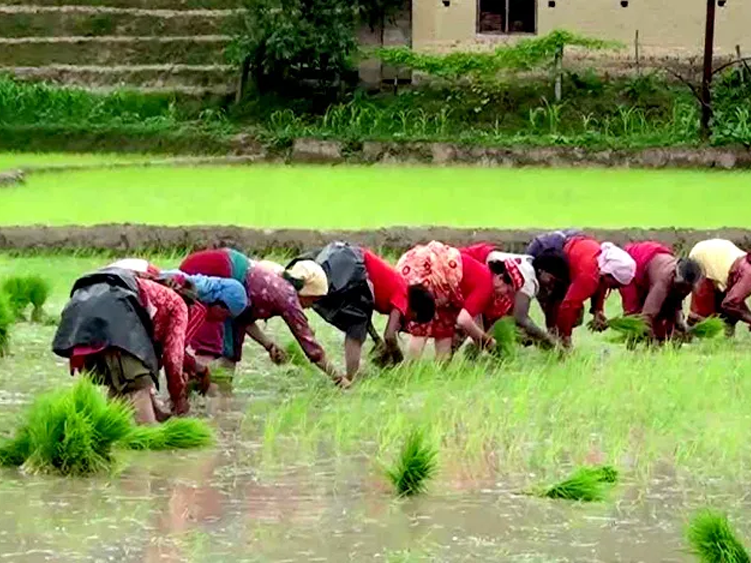 फाइल तस्वीर